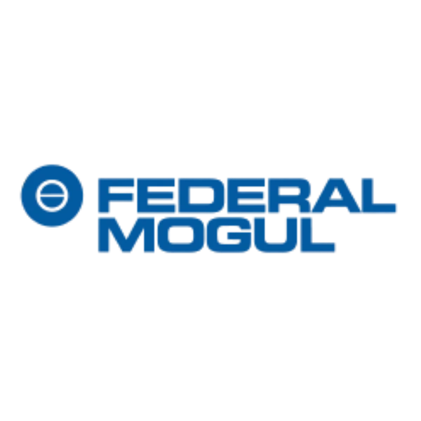 Federal Mogul